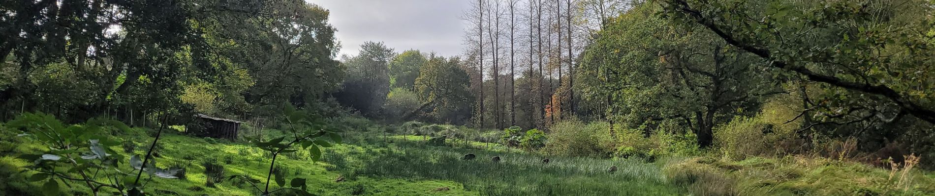 Tocht Stappen Loc-Eguiner - loc-eguiner - Photo