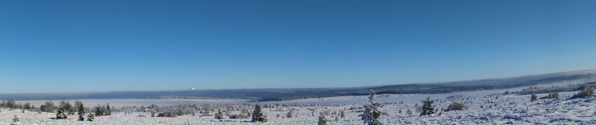 Randonnée Ski de fond Waimes - Les trois boucles des hautes fagnes - Photo