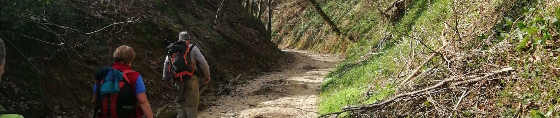 Trail Walking Marennes - 69 marennes-villette-V2-17km-420m - Photo