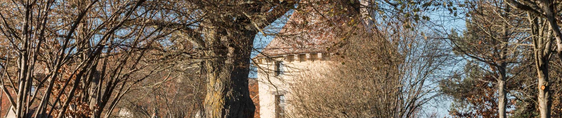 Randonnée Marche Berd'huis - Berd'huis - Saint-Cyr-la-Rosière via Préaux-du-Perche 12 km - Photo