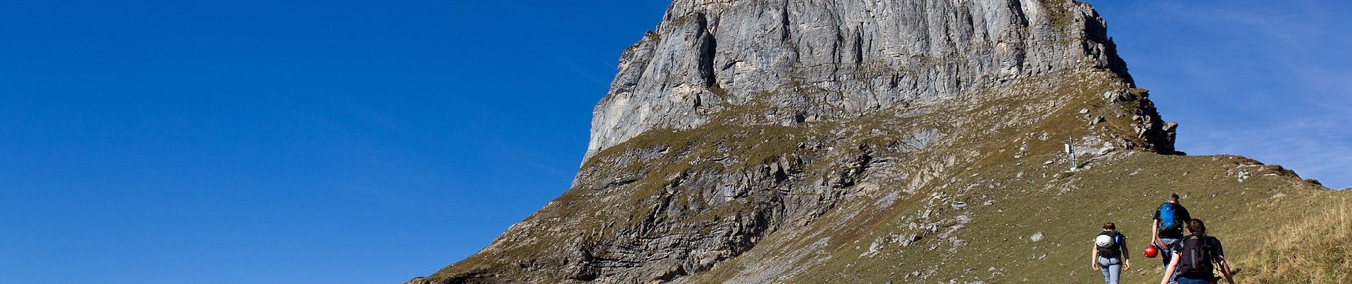 Tocht Te voet Glarus Süd - Panoramawanderung Braunwald - Photo