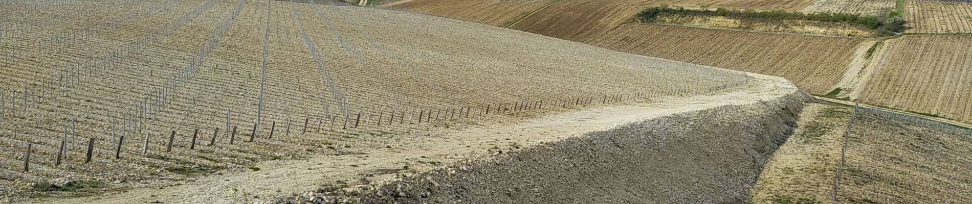 Randonnée Marche Venoy - AVF - Beines 20-04-2022 - Photo