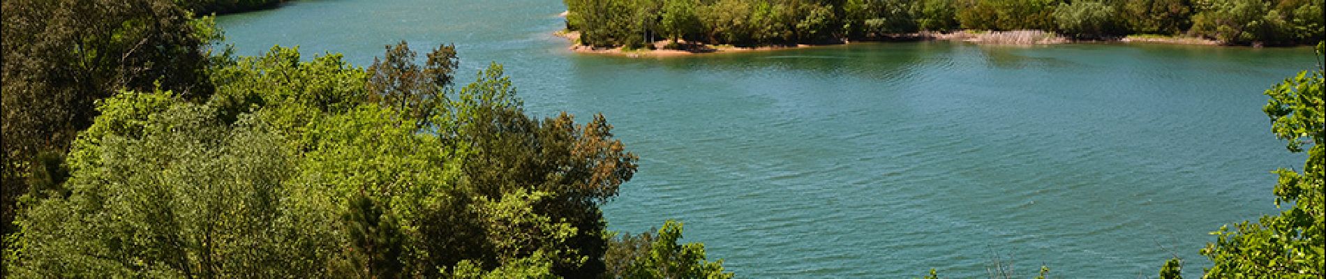 Tocht Stappen Montauroux - Esterets du Lac - Observatoire - Lac de St Cassien - Photo