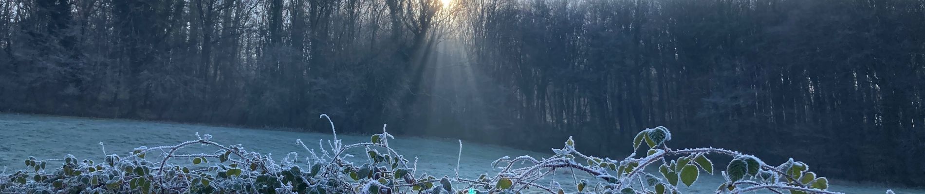 Tocht Stappen Canaples - Canaples - Photo