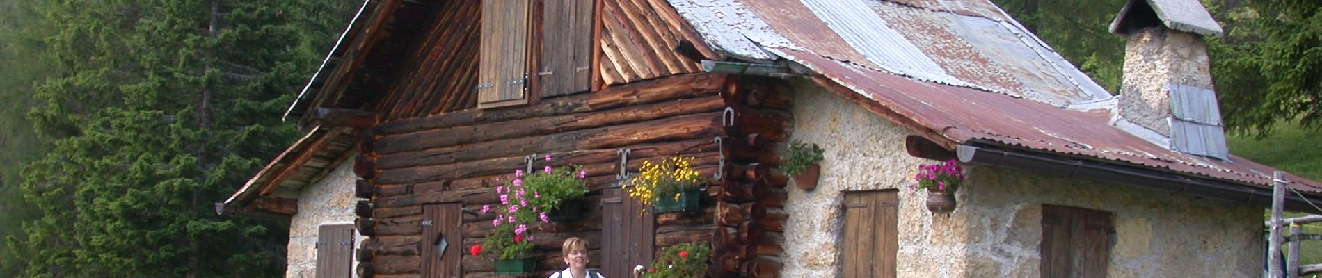 Tour Zu Fuß Pieve di Cadore - IT-350 - Photo