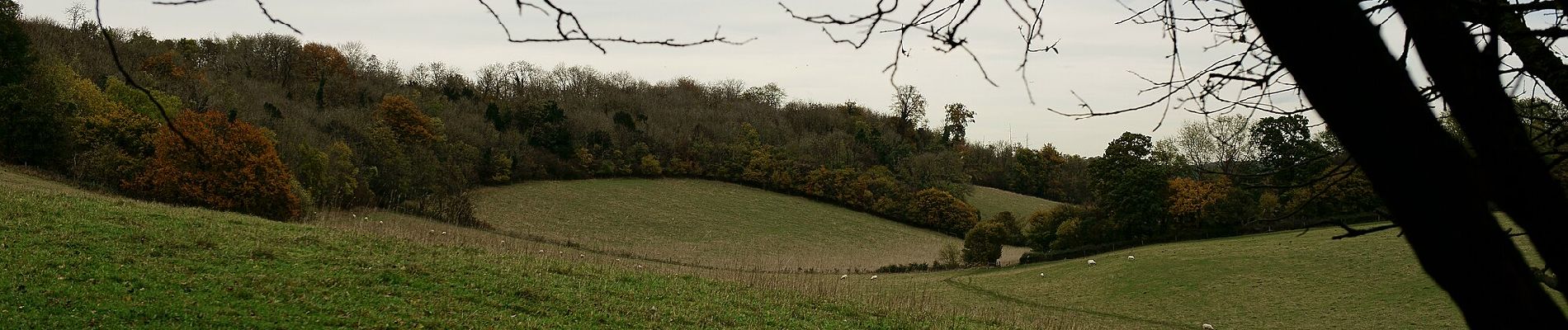 Tour Zu Fuß Reigate and Banstead - Chipstead walk (SCC) - Photo