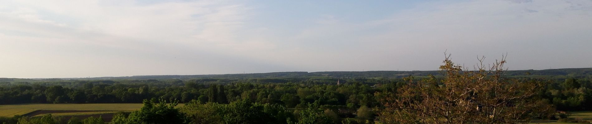 Tour Wandern Coteaux-sur-Loire - st Michel sur Loire  - Photo