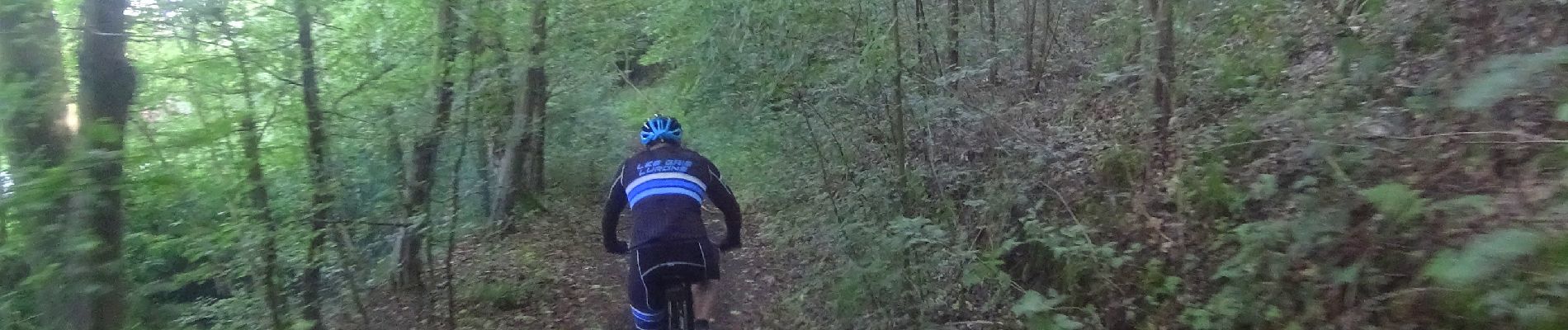 Percorso Mountainbike Genappe - VTT de genappes - Photo