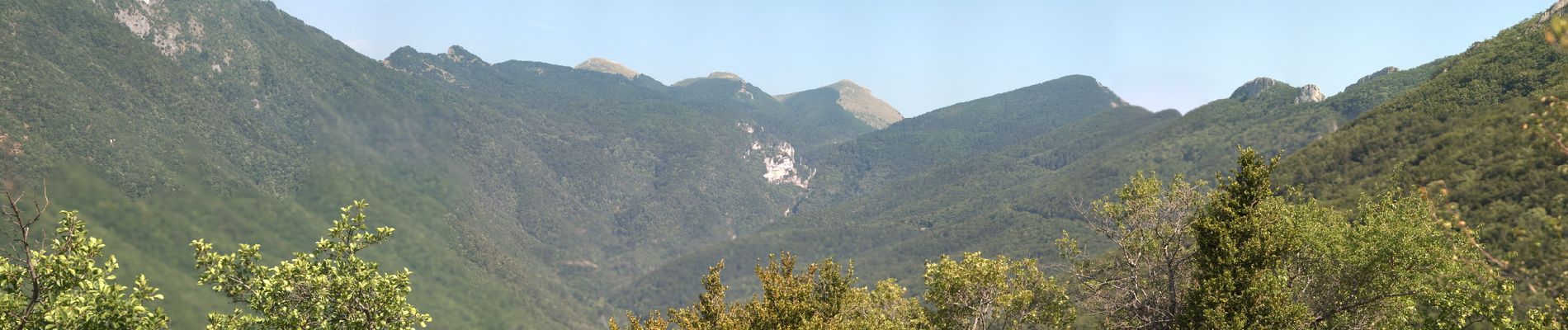 Tour Wandern Saou - Tour de la Forêt de Saoû - Photo