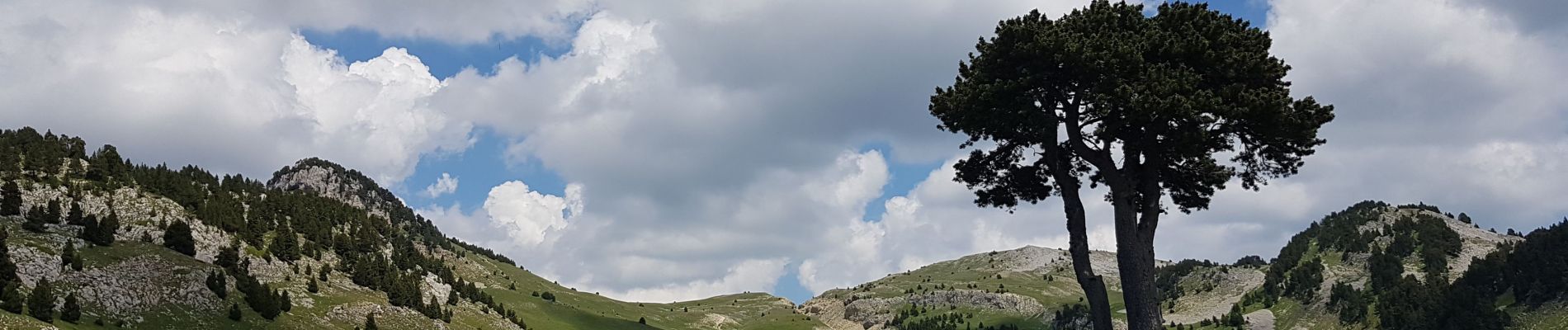 Tocht Stappen Saint-Michel-les-Portes - Les Carrières Romaines par le Pas de La Selle et le Pas des Bachassons - Photo