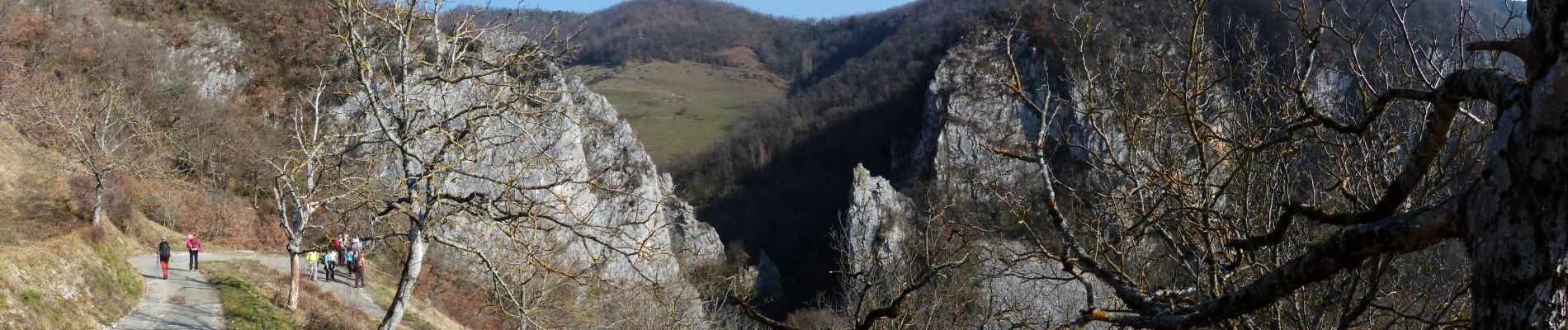 Tour Zu Fuß Pont-en-Royans - 24-FEV-19 - Photo