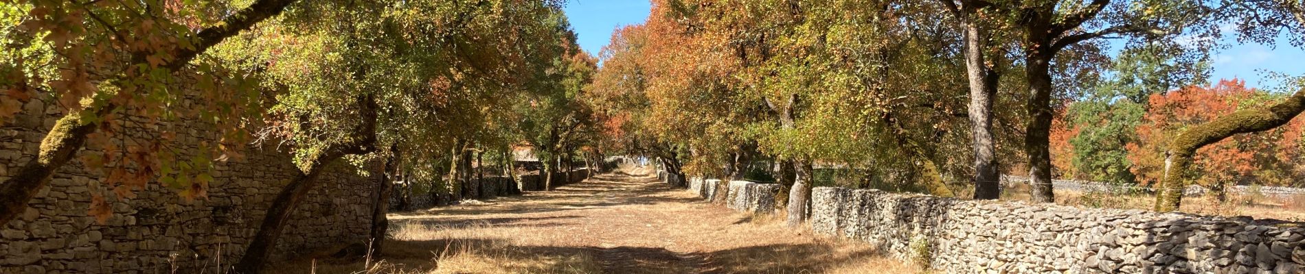 Randonnée Marche Crégols - Concots font d’erbies  - Photo