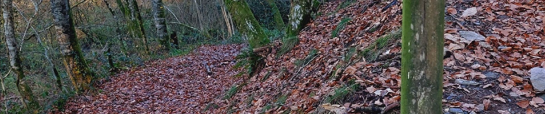 Trail Walking Rieupeyroux - rieupeyroux petit parcours - Photo