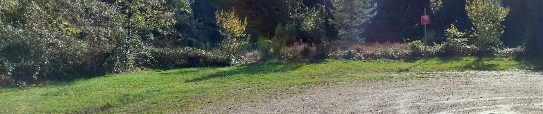 Tocht Stappen Bort-les-Orgues - Chute de la Saule - Photo