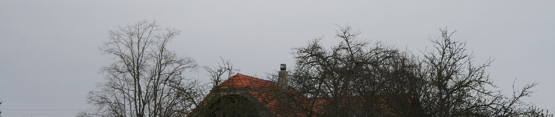 Tocht Te voet Plaffeien - Brand - Ober Maggenberg - Photo