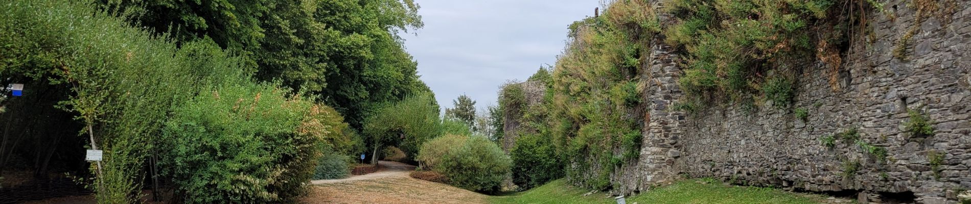 Randonnée Marche Mont-Dol - dol de  Bretagne  - Photo