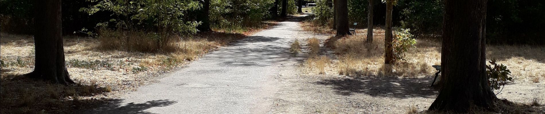 Excursión Senderismo París - Les 3 lacs du bois de Vincennes  - Photo