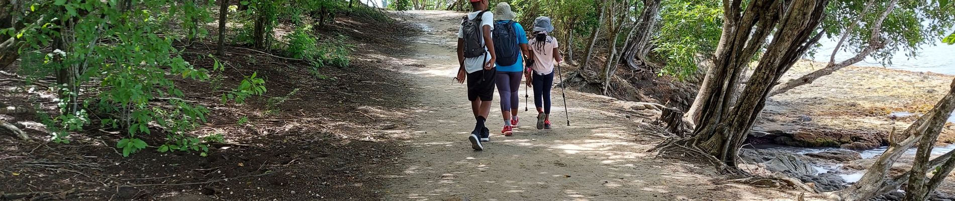 Tour Wandern Sainte-Luce - Boucle Corps de Garde - Photo