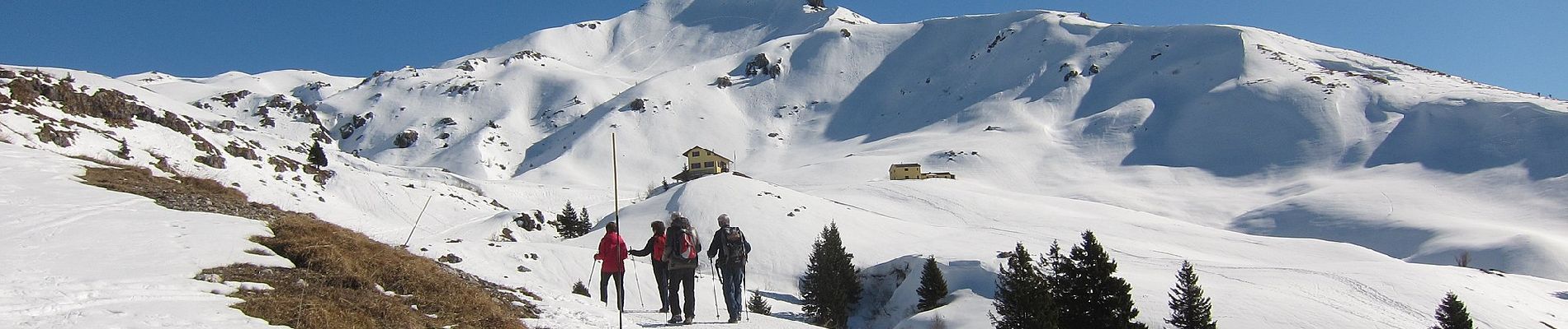 Percorso A piedi Moggio - Sentiero Antichi Cippi Confinari - Photo