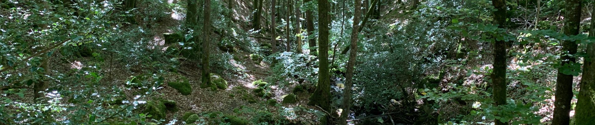 Randonnée Marche Brassac - Gorges de Sarazy  - Photo