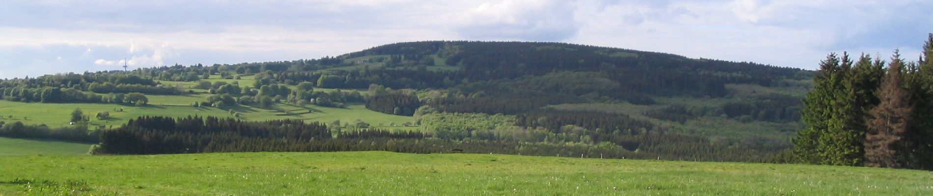 Randonnée A pied Grebenhain - Weisser Stein Rundwanderweg - Photo