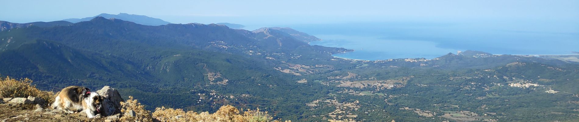 Tocht Stappen Sari-d'Orcino - San Damiano - Photo