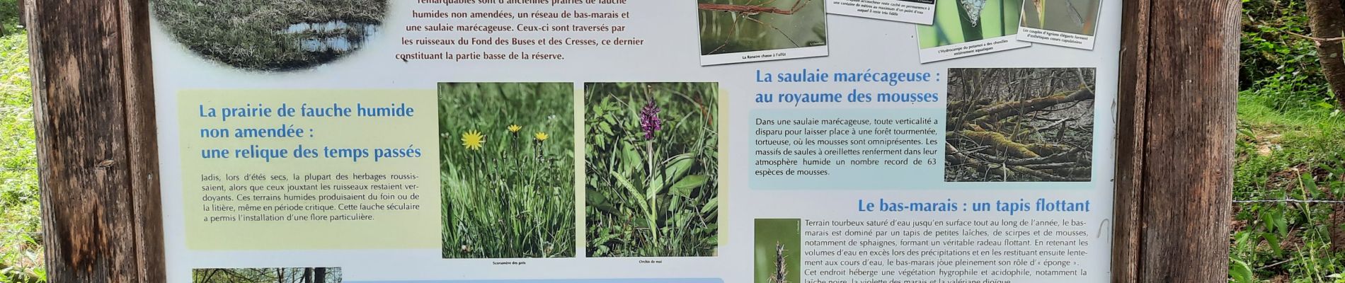 Point d'intérêt Ciney - panneau réserve naturelle  - Photo