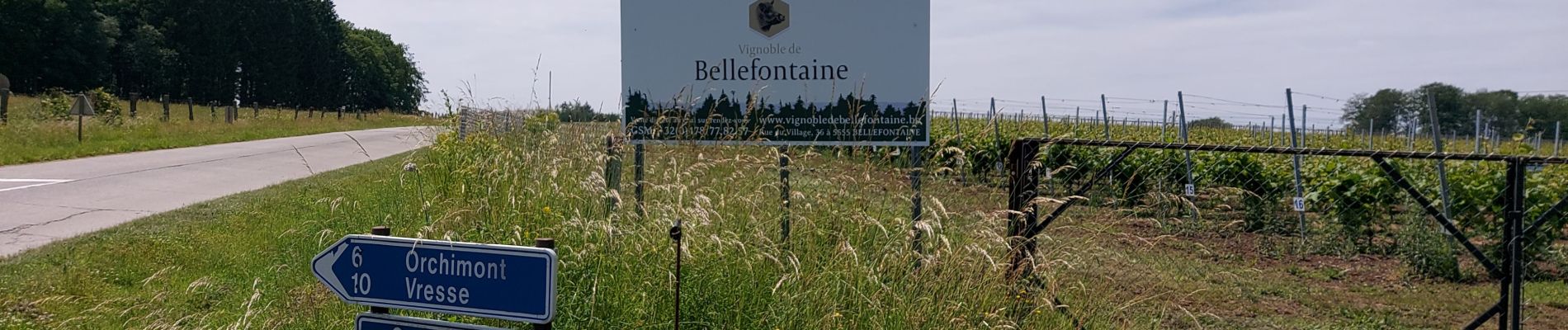 Tocht Stappen Bièvre - Bellefontaine 250521 - Photo