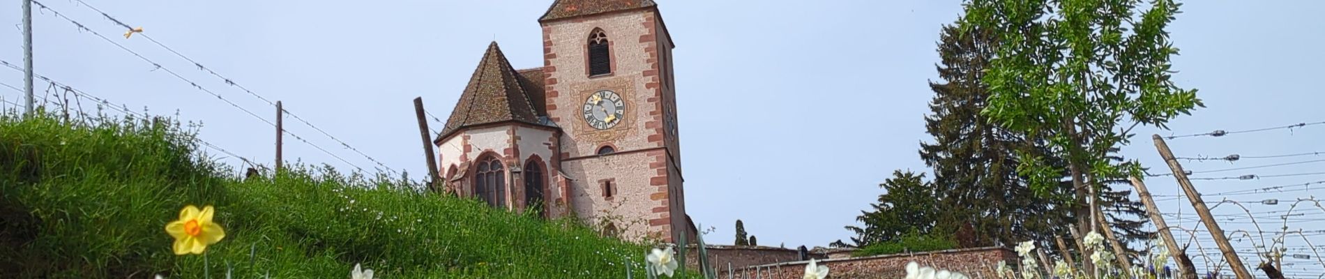 Tocht Stappen Mittelwihr - Mittelwihr - Beblenheim - Zellenberg - Hunawihr  - Riquewihr -  Nécropole de Sigolsheim - Photo