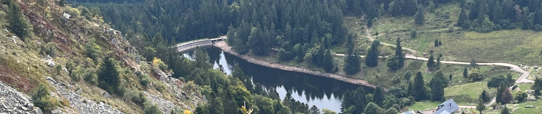 Tour Wandern Sulzern - Sortie d’entreprise, randonnée écourtée  - Photo