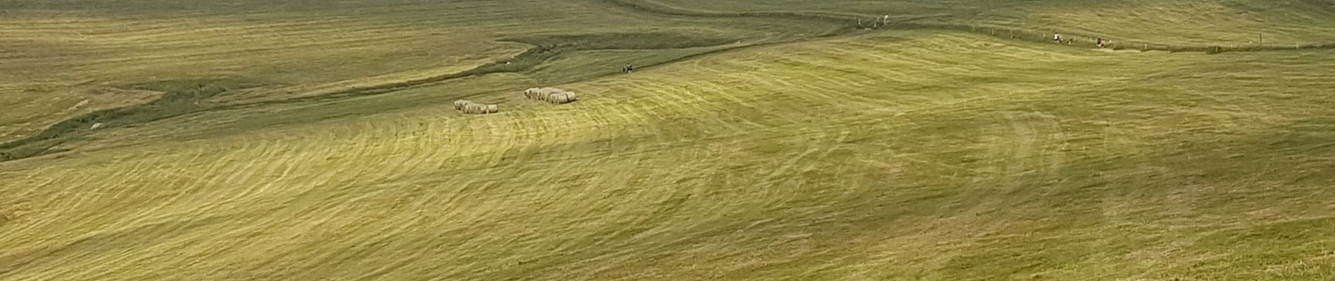 Tour Wandern Woll - BREITSOUZE - DE LA SOURCE DE LA MOSELOTTE AU LAC DE LA LANDE - Photo