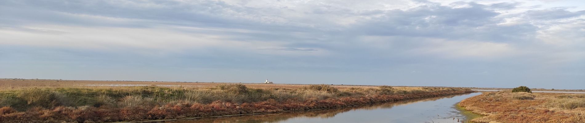 Tocht Stappen Saintes-Maries-de-la-Mer - La gacholle - Photo