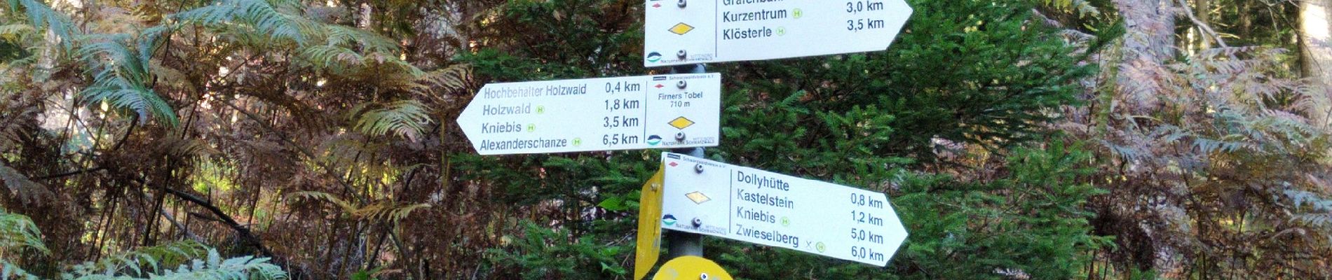 Trail On foot Bad Peterstal-Griesbach - Bad Peterstal - Bad Rippoldsau - Photo