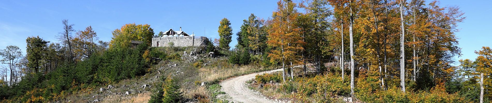 Tocht Te voet Gemeinde Kirchberg an der Pielach - Hohenstein - Photo