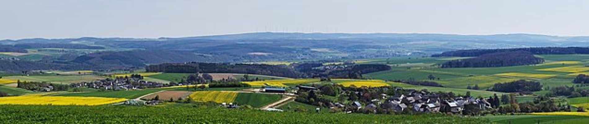 Tour Zu Fuß Dachsenhausen - Dachsenhäuser Runde - Photo