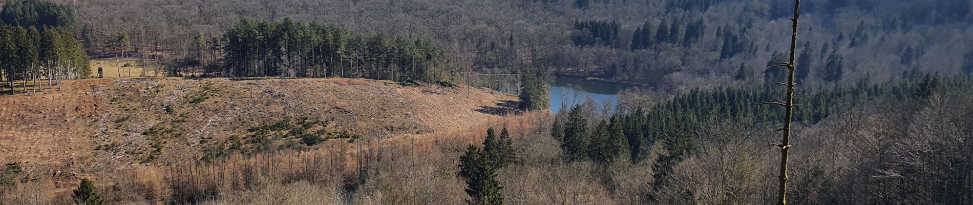 Tour Wandern Florenville - rando herbeumont 8-03-2022 - Photo