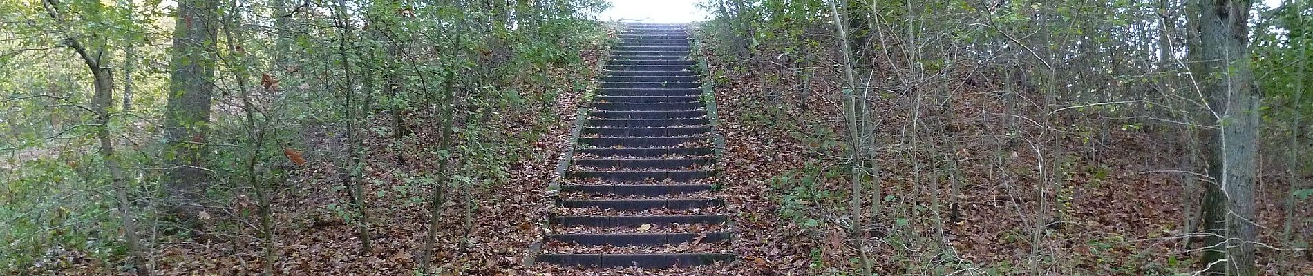 Percorso A piedi Blaricum - Tafelbergheide - Photo