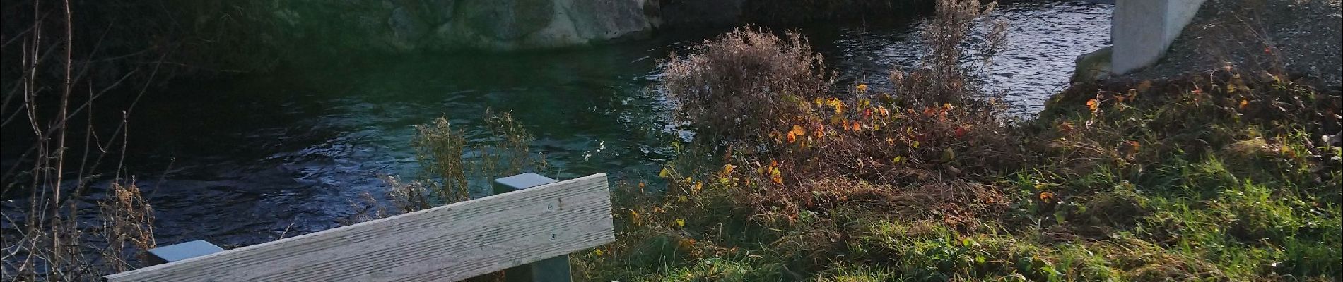 Tocht Stappen Meyenheim - Entre les berges de l'Ill et du canal Vauban  - Photo