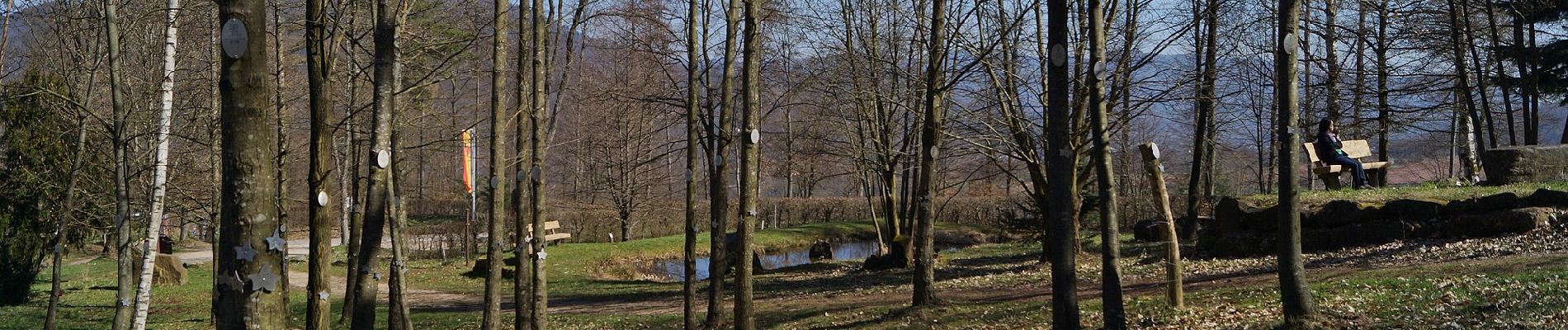 Tour Zu Fuß Wernersberg - Richard-Löwenherz-Weg - Photo