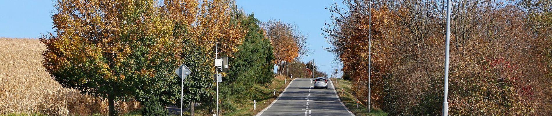 Tour Zu Fuß Hohenmauth - NS Vinice - Photo