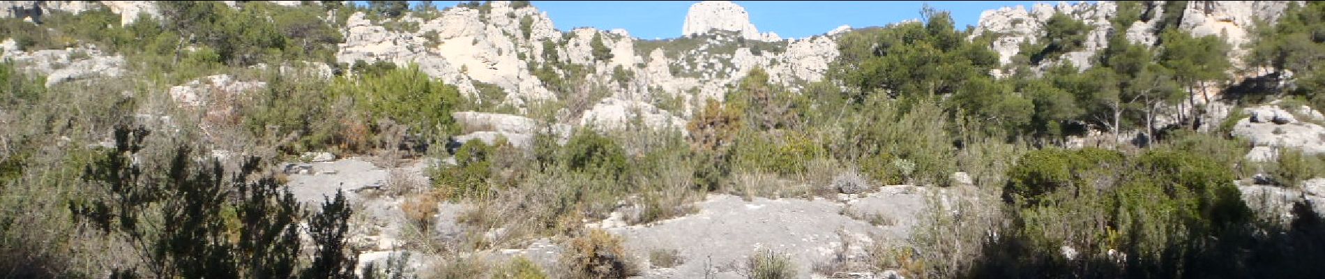 Excursión A pie Mimet - Vallon du Pilon du Roi : - Photo