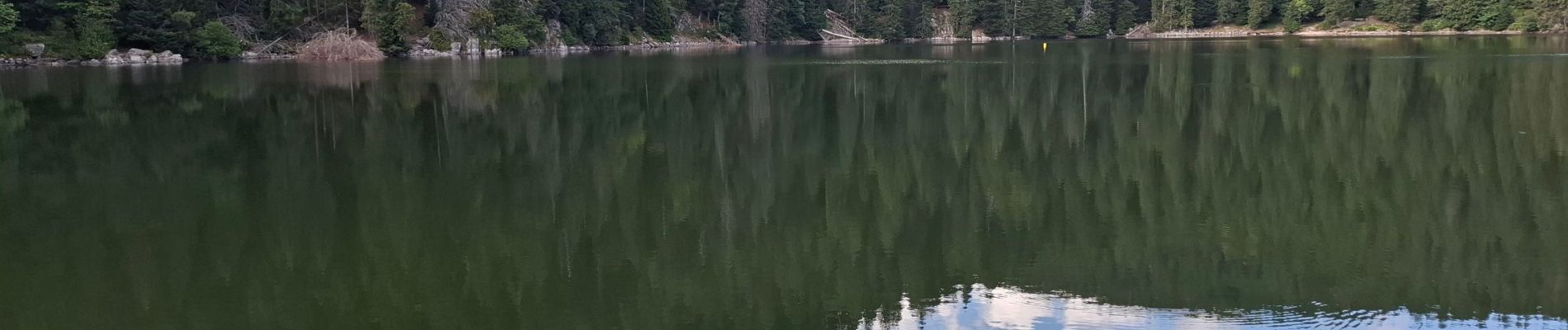 Trail Walking Le Valtin - Les quatre lacs - Photo