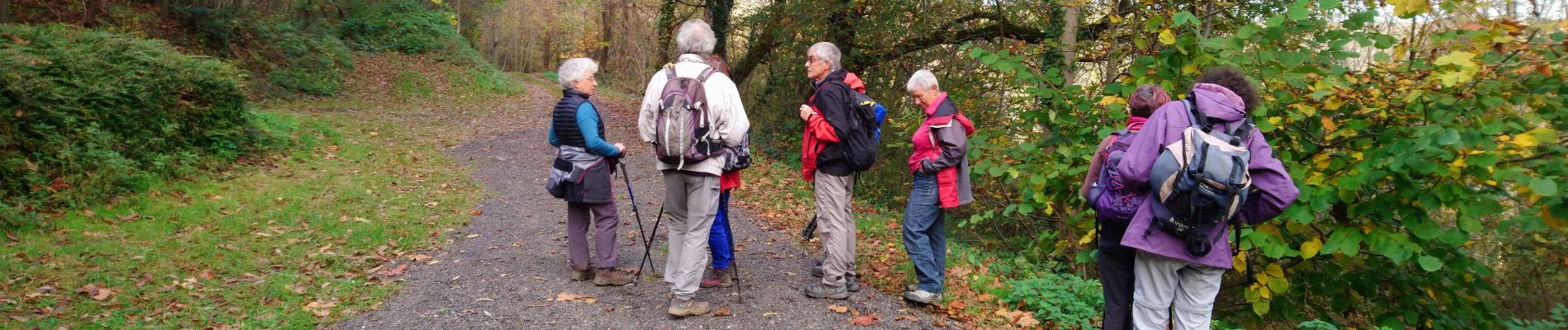 Tocht Stappen Saint-Vérand - St Vérand - Photo