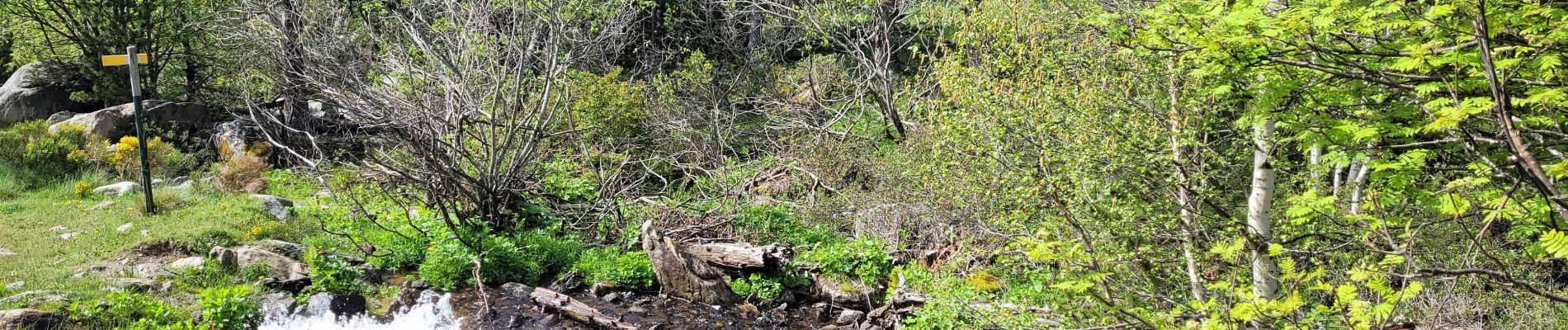 Trail Walking Les Angles - Le lac des Balmettes - Photo