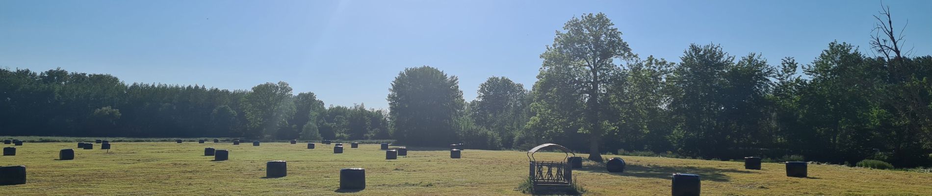 Randonnée Marche Moÿ-de-l'Aisne - parcours Moy de l'Aisne - Vendeuil - Photo