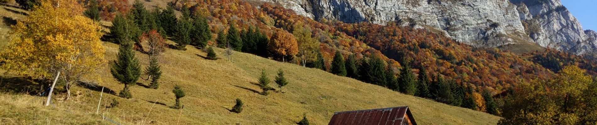 Tour Wandern Doucy-en-Bauges - Boucle Trelod, dent des Portes - Photo