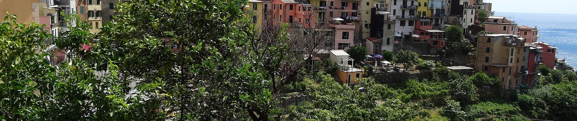 Tour Zu Fuß Vernazza - S.Bernardino – Murro sup. - Mad.di Reggio - Photo