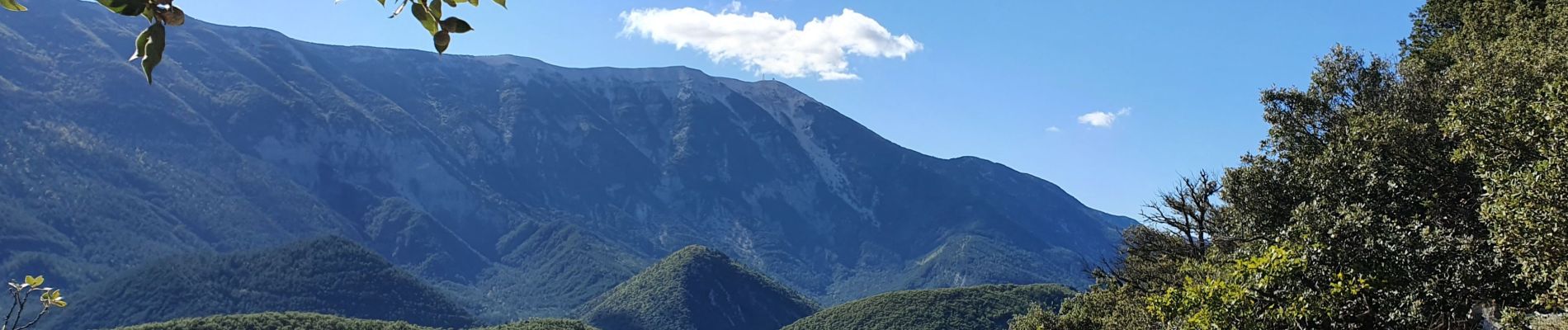 Trail Walking Brantes - Brantes - Savoillan - Photo