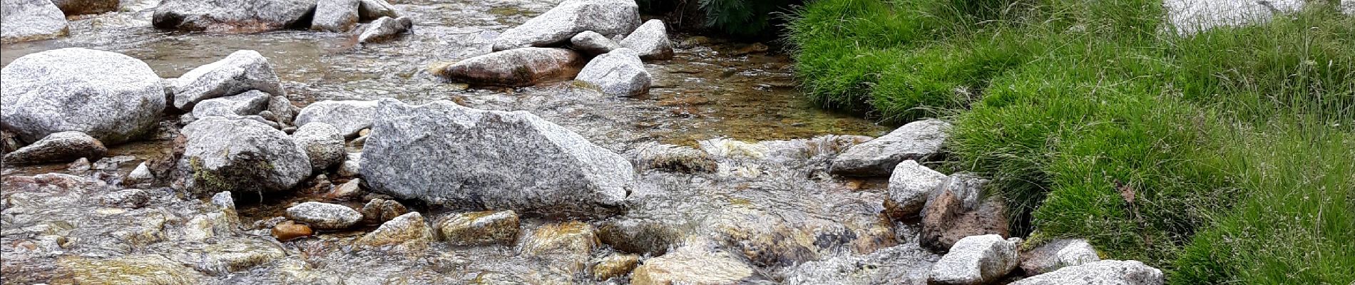 Excursión Senderismo Prats-de-Mollo-la-Preste - Esquerdes de rotja - Photo