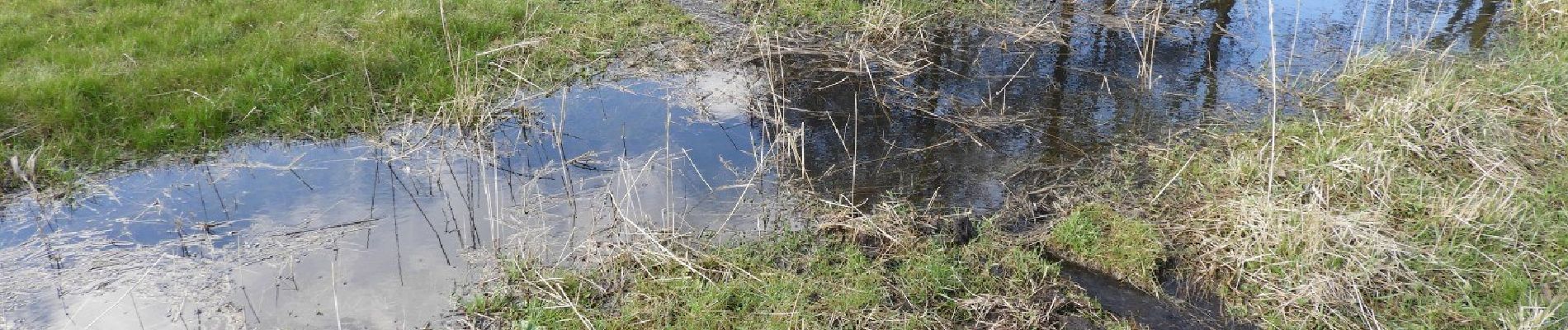 Tocht Te voet Lommel - 't Wateringpad - Photo